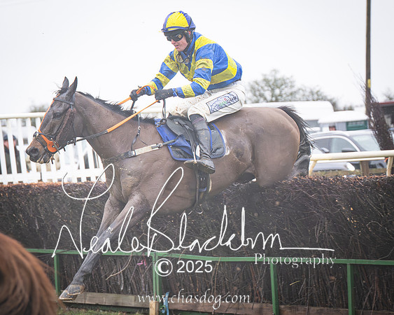 Race 2 - Restricted (29 of 70)-Enhanced-NR
