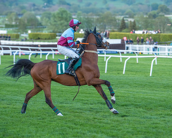 Race 7 - Glos Hussars  (97 of 245)