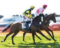 Race 2 - Open Maiden Div 2 (17 of 124).jpg