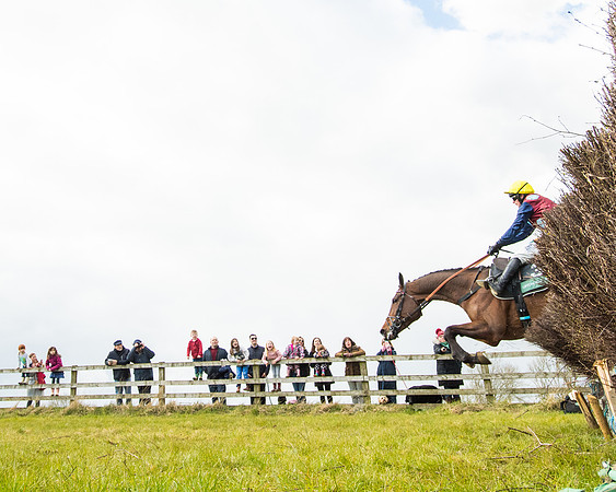 Race 5 - Restricted  (59 of 118)