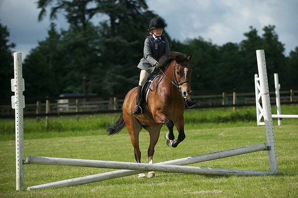 SOHS PC Summer Show at BCA 17th June 2012