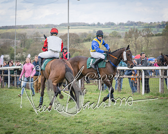 Race 3 - 5 years old and Over Maiden Race (20 of 130)