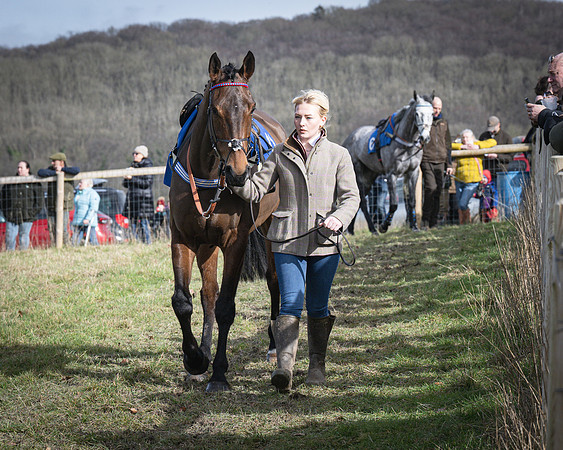 Race 3 - The Maiden Conditions (21 of 214)