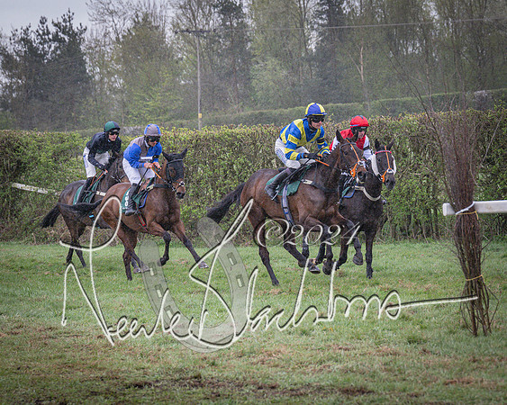 Race 7 - The Jockey Club maiden race for Mares and Fillies only (38 of 96)