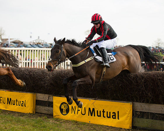 Race 2 - COnfined Hunts race (108 of 144).jpg