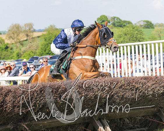 Race 4 - PPORA Novice Riders Final  (241 of 362)