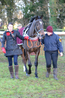Young Horse Maiden  10