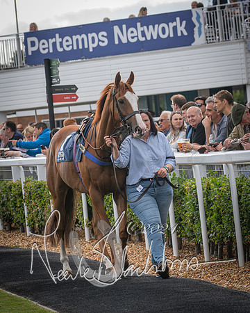 Race 1 - Pointing Pointers Restricted Final (5 of 79)