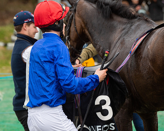 Race 5 - The Ineos Home Counties Grand National (94 of 133)