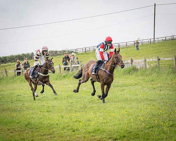 Race 6 - 2M4F Maiden (27 of 85)