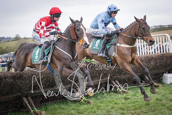 Race 6 - The Restricted Race (60 of 101)