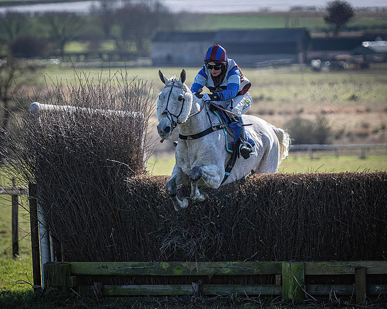 Race 1 - Veteran Horse (42 of 62)