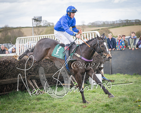 Race 2 - Tattersalls Cheltenham 4 year old Maiden (72 of 85)