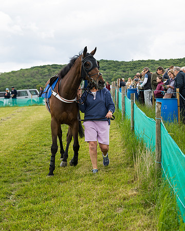 Race 2 - PPORA Novice Riders  (6 of 187)