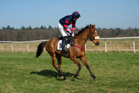 Races 2 - Conditions 4
