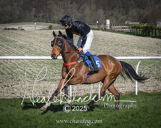 Race 6 - Veteran horse (27 of 109)