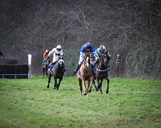 Race 2 - Maiden (101 of 145)