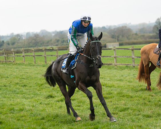 Race 3 - Open maiden  (29 of 273)
