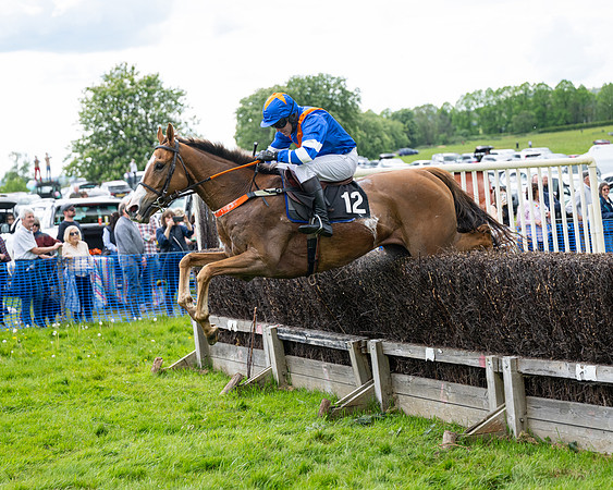 Race 5  - Maiden  (43 of 84)