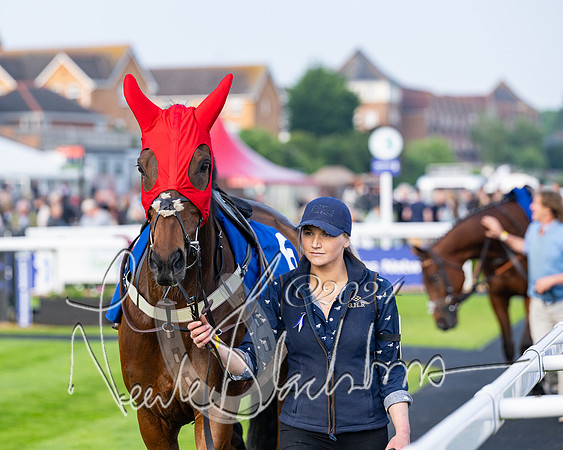 Race 4 - Stratford Foxhunters (8 of 145)
