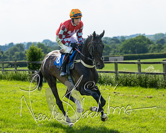 Race 5  - Maiden race 2m5F Div-1 (86 of 197)