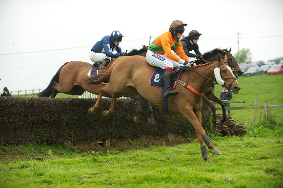 Race 2 - Novices 37