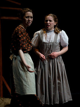 The Wizard of OZ -  29
