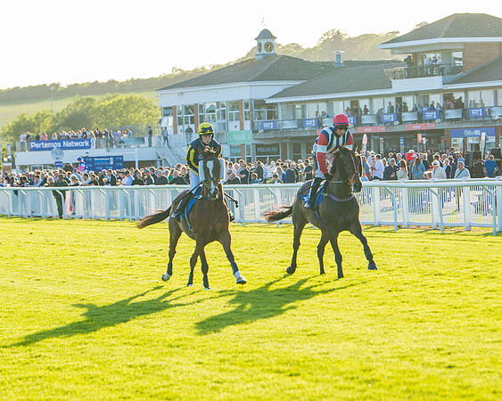 Race 5 - White Swan Hotel Handicap (1 of 80)