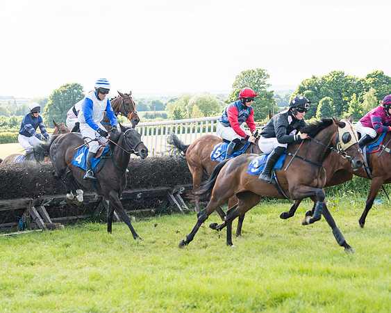 Race 6 - Open Maiden (99 of 227)