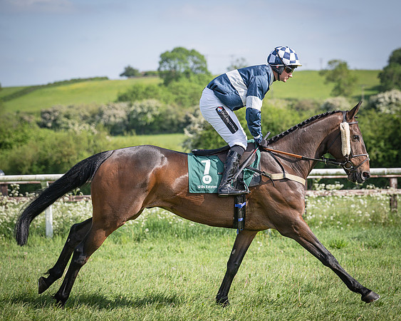 Race 5 - Restricted (40 of 116)