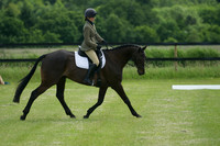 Jackson Dressage 18