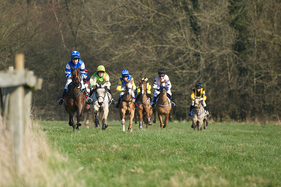 Pony Races -  18