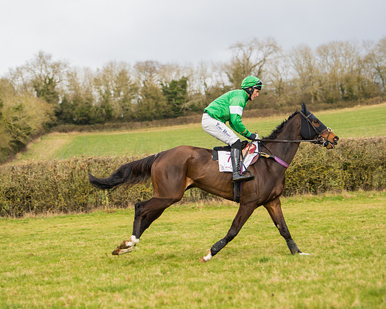 Race 2 - Open Maiden (23 of 128)