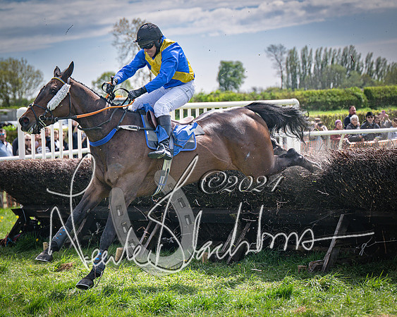Race 2 - The Elliott of London maiden race (74 of 137)