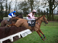 CHHC - Young Horse Maiden Division 1