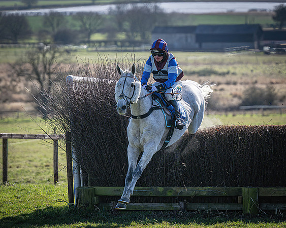 Race 1 - Veteran Horse (49 of 62)