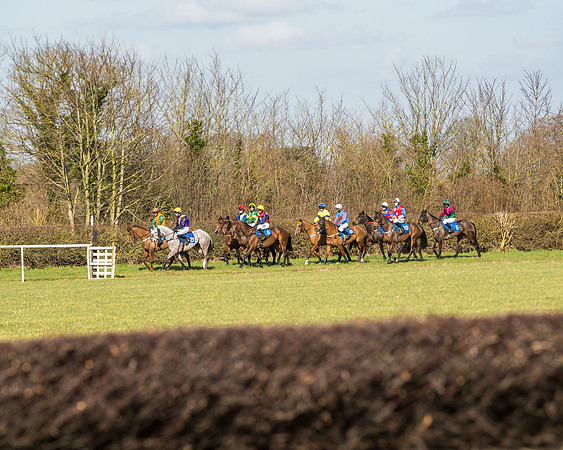 Race 1 - Open Maiden Division 2 (45 of 173)