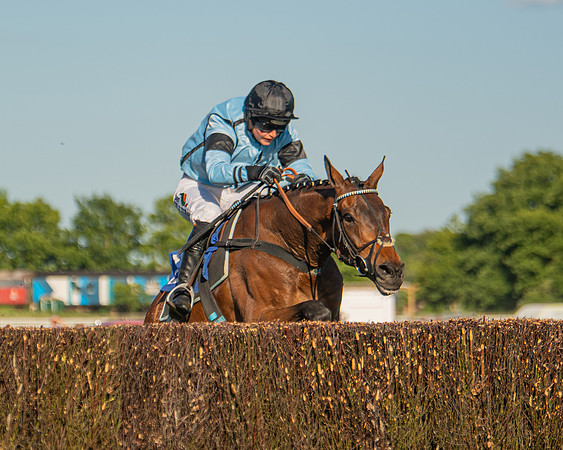 Race 2 - Nimrod Ladies Open (46 of 82)