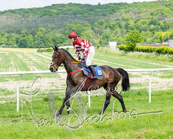 Race 2 - Restricted  (115 of 308)