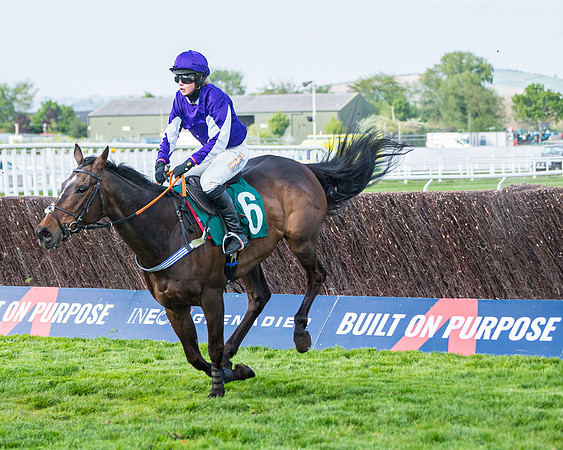 Race 1 - The open Hunter chase  (71 of 95)