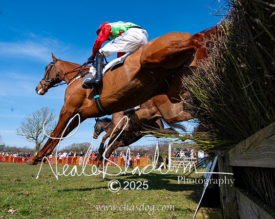 Race 1 - Maiden (116 of 188)