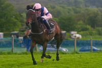 Pony Races