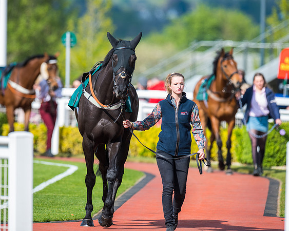 Race 1 - The open Hunter chase  (22 of 95)