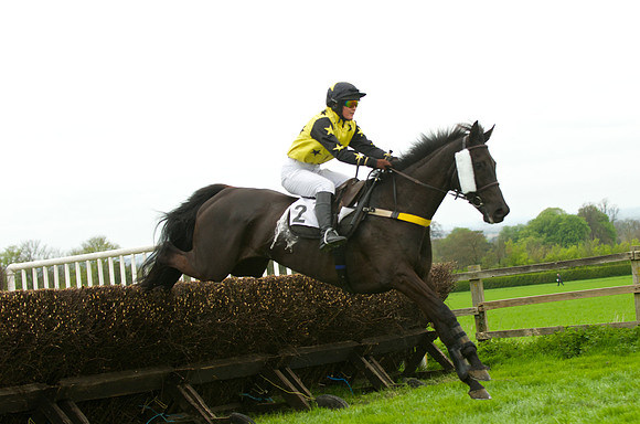 Race 3 - 4-5-6 Maiden 40