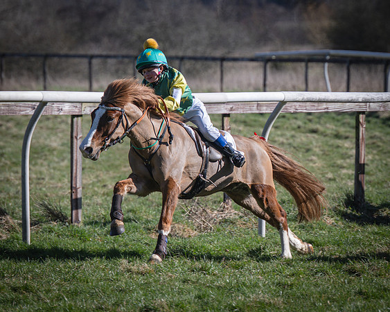 Pony Races (23 of 112)