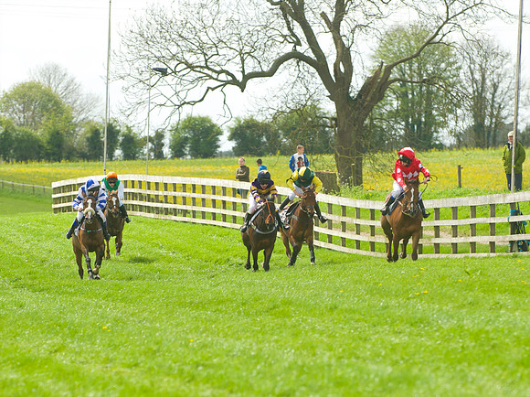 Pony Race - 2    29