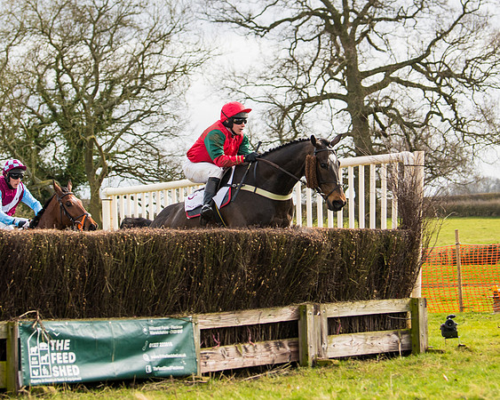 Race 3 - Restricted  (50 of 100)