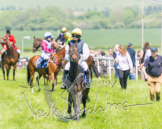 Pony Races  (15 of 141)