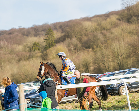 Race 5 - Restricted (3 of 146)
