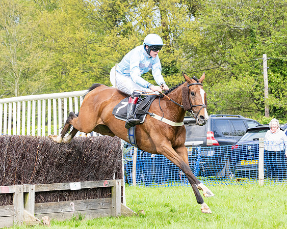 Race 2 - Veteran Horse (68 of 80)